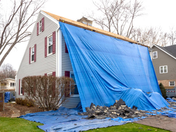 Best Carpet Removal and Disposal  in Albion, IN